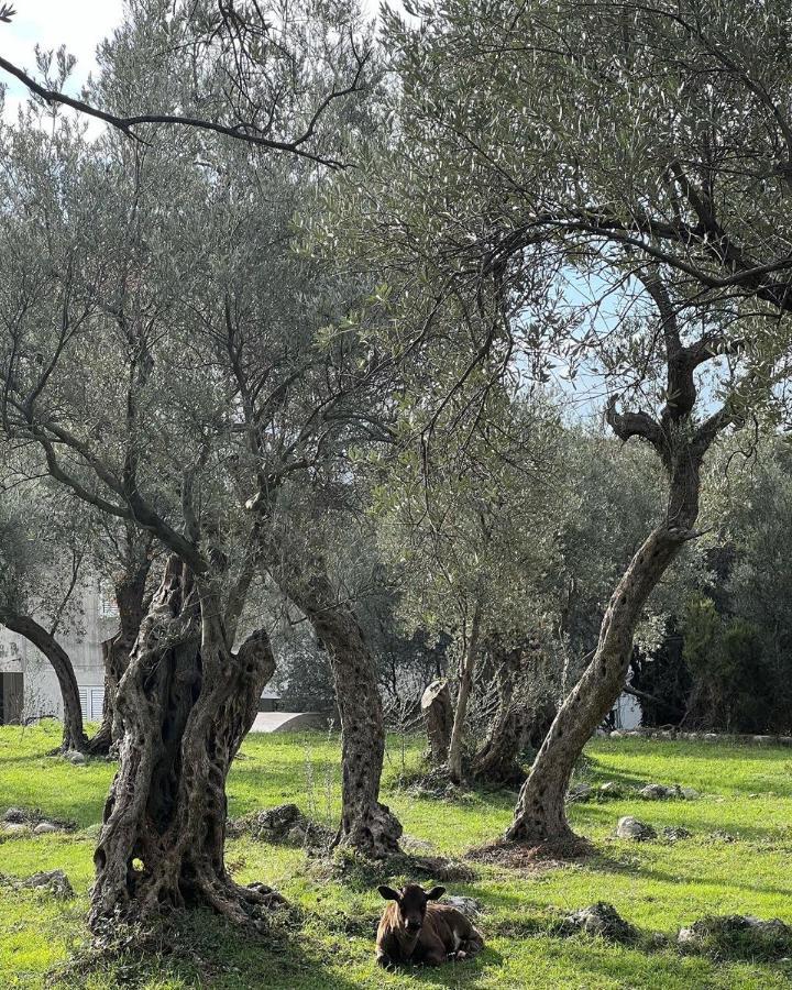 דירה Paradise Bečići