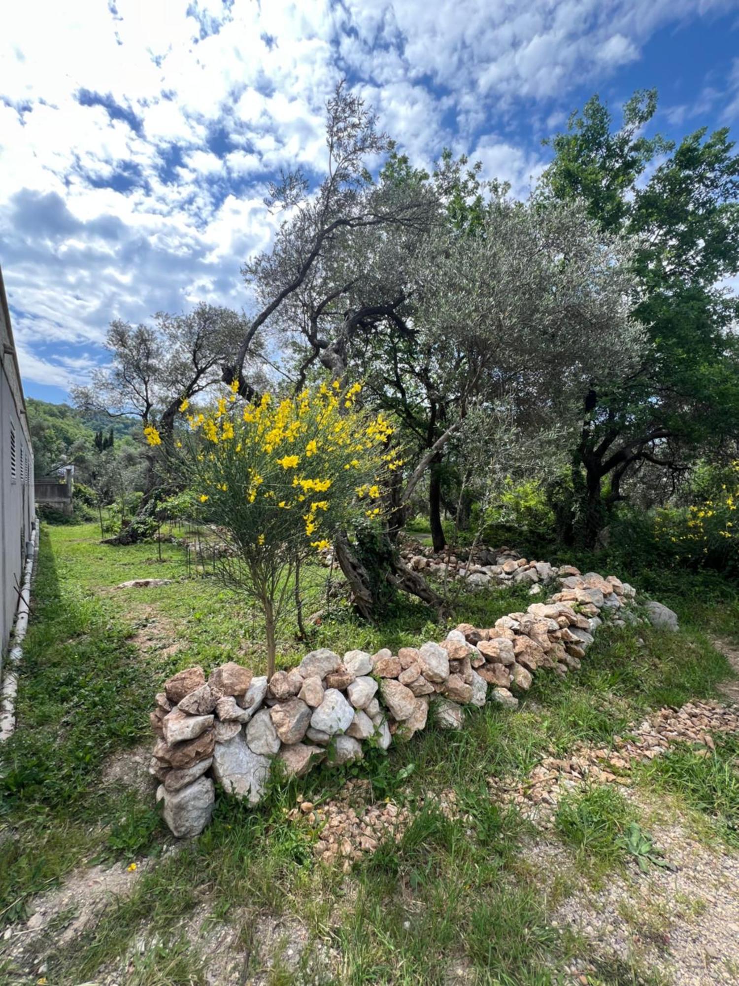 דירה Paradise Bečići